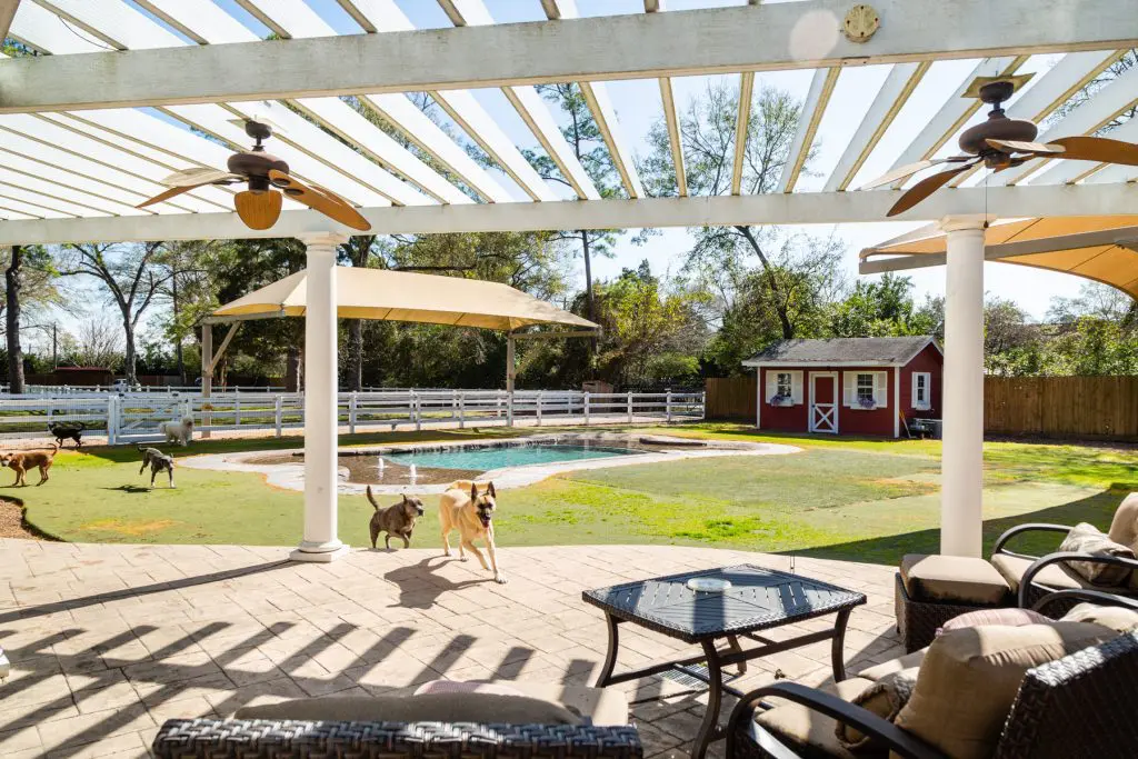 Back patio at houston dog ranch