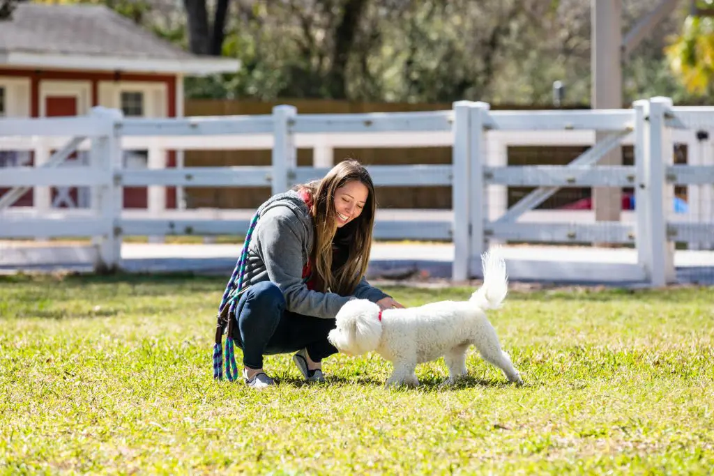 Staff greeting dog at houston dog ranch