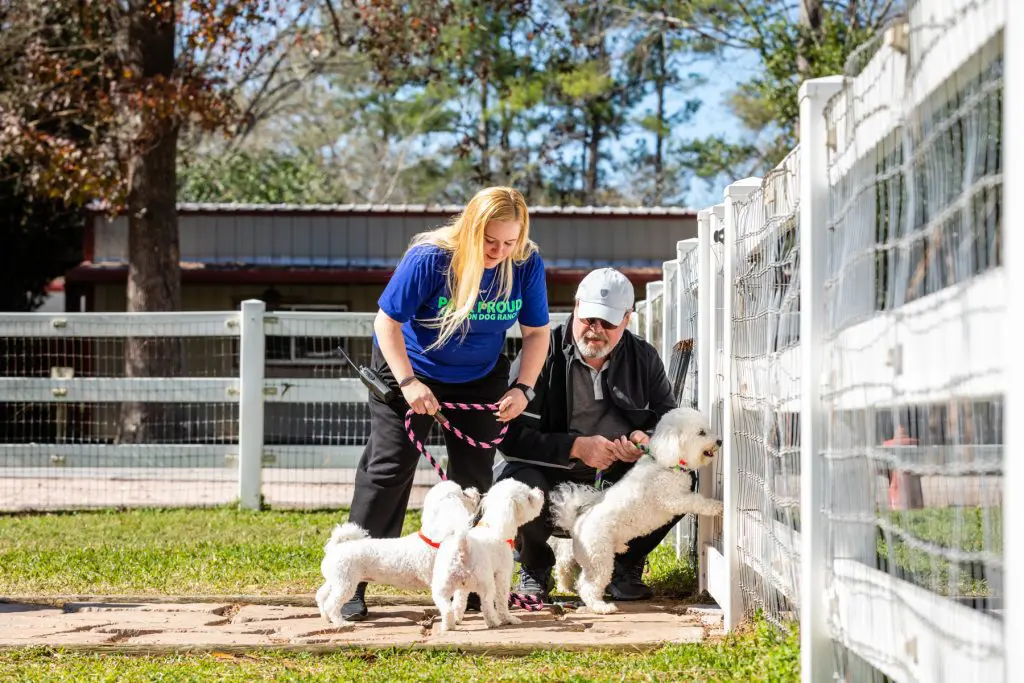 Trainers sitting with three dogs next to a fence