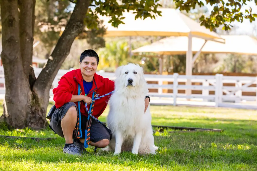 Trainer sitting with dog outside