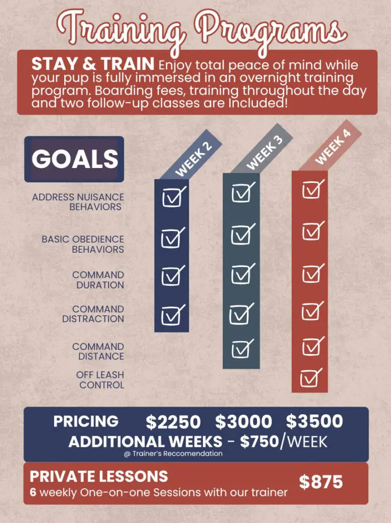 Dog training program pricing
