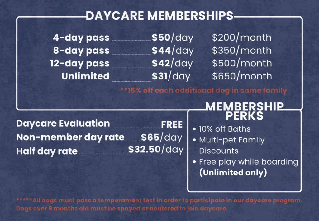 Dog daycare