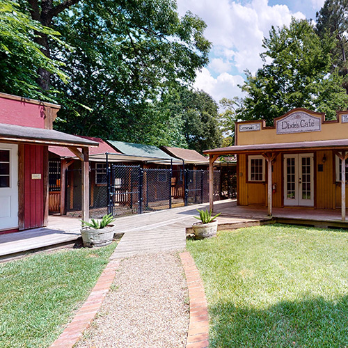 Dog Boarding Houston Dog Ranch Houston, TX