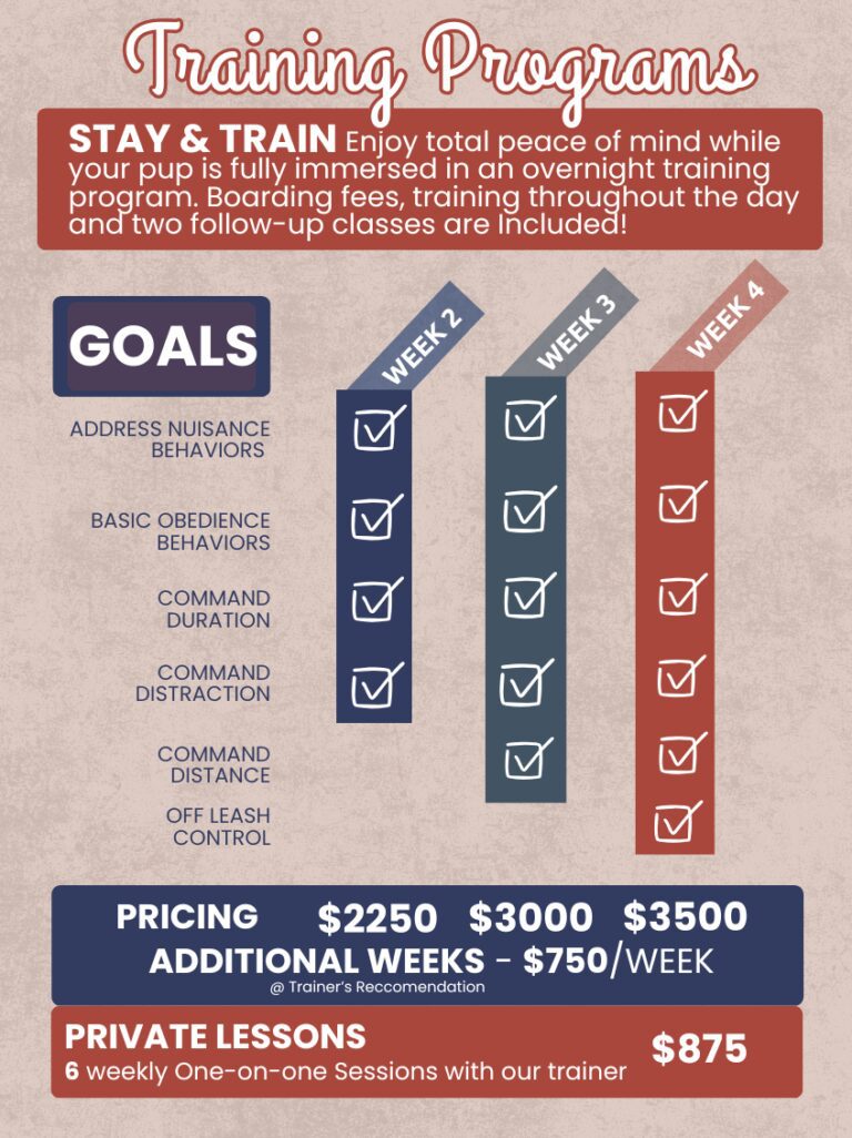 Dog training programs