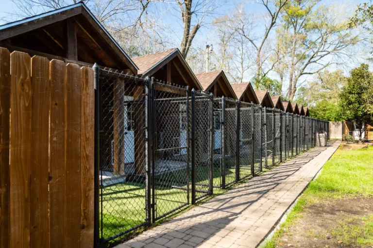 Boarding cabins at houston dog ranch